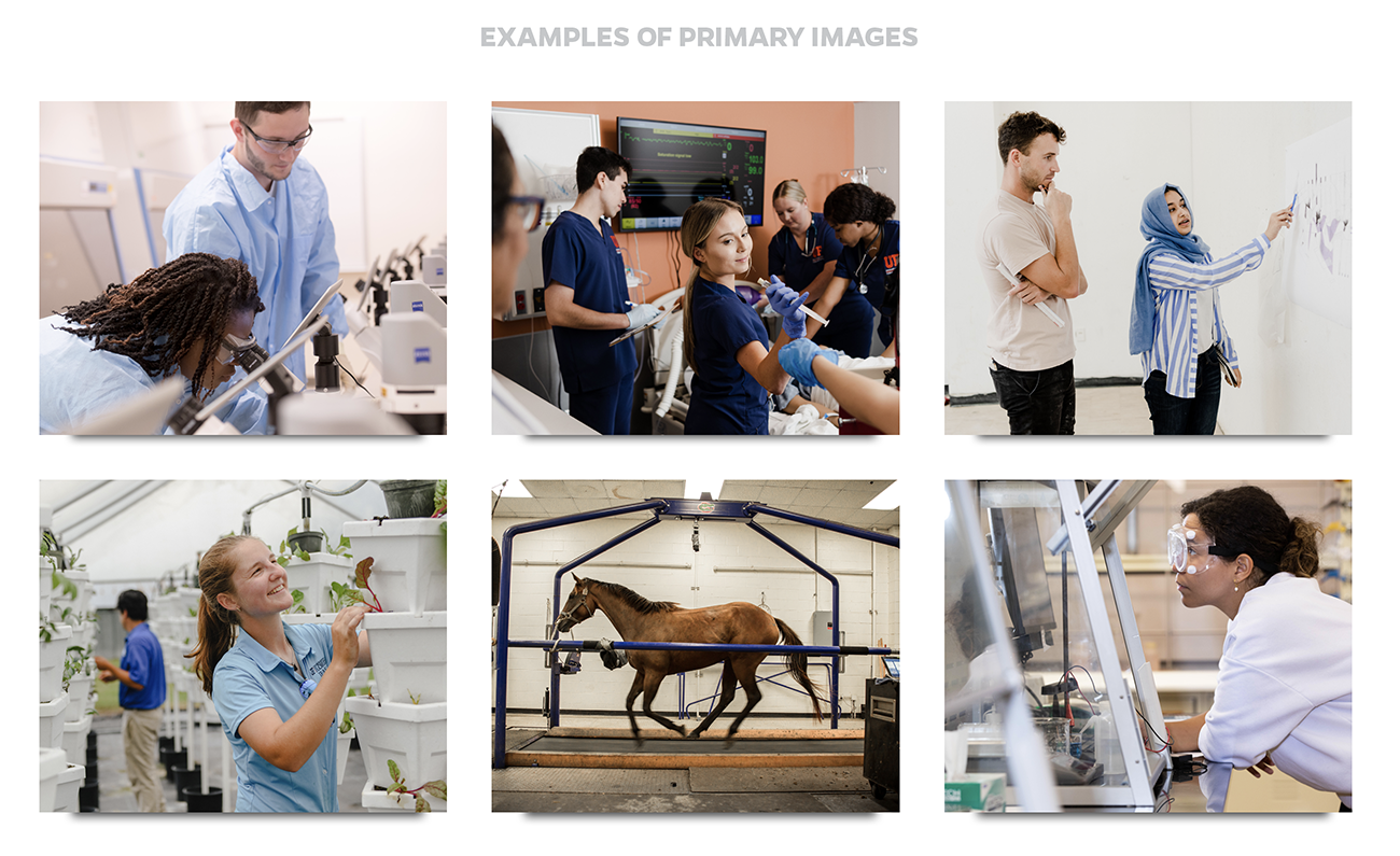 Six examples of primary AI images. 1-Two students in a lab look through a microscope. 2-Nursing students practice on an artificial patient. 3-Architecture student talks with professor. 4-Agriculture student and professor examine plants in a hydroponic greenhouse. 5-A horse runs on a treadmill for motion capture. 6-A student in a lab reads sample data.